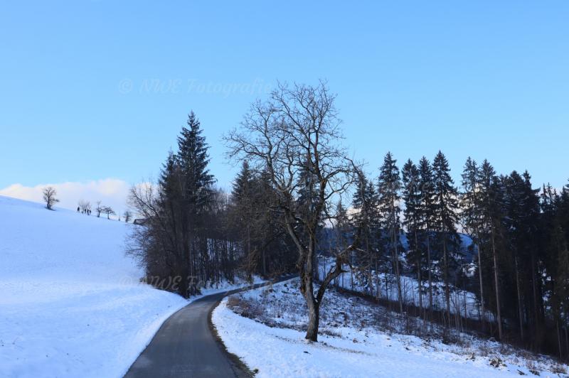 Schneelandschaft mit blauem Himmel