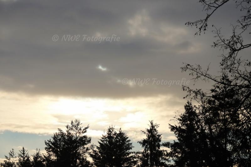 Bedeckter Sonnenaufgang über Wald