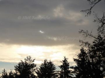 Bedeckter Sonnenaufgang über Wald