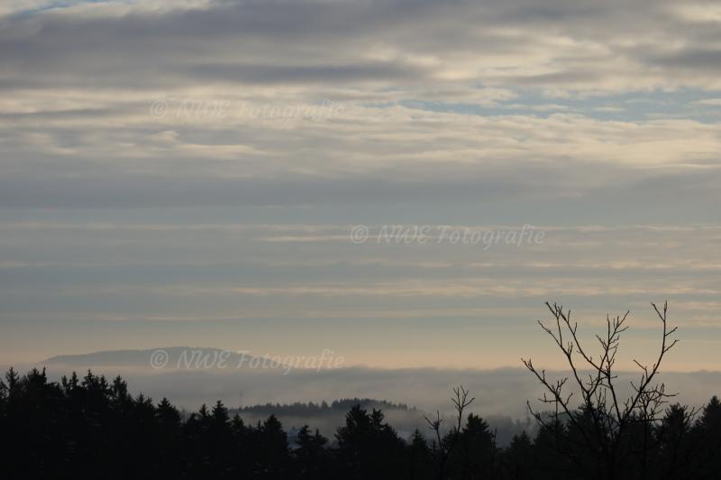 Morgengrauen im Nebel