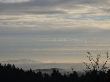 Morgengrauen im Nebel